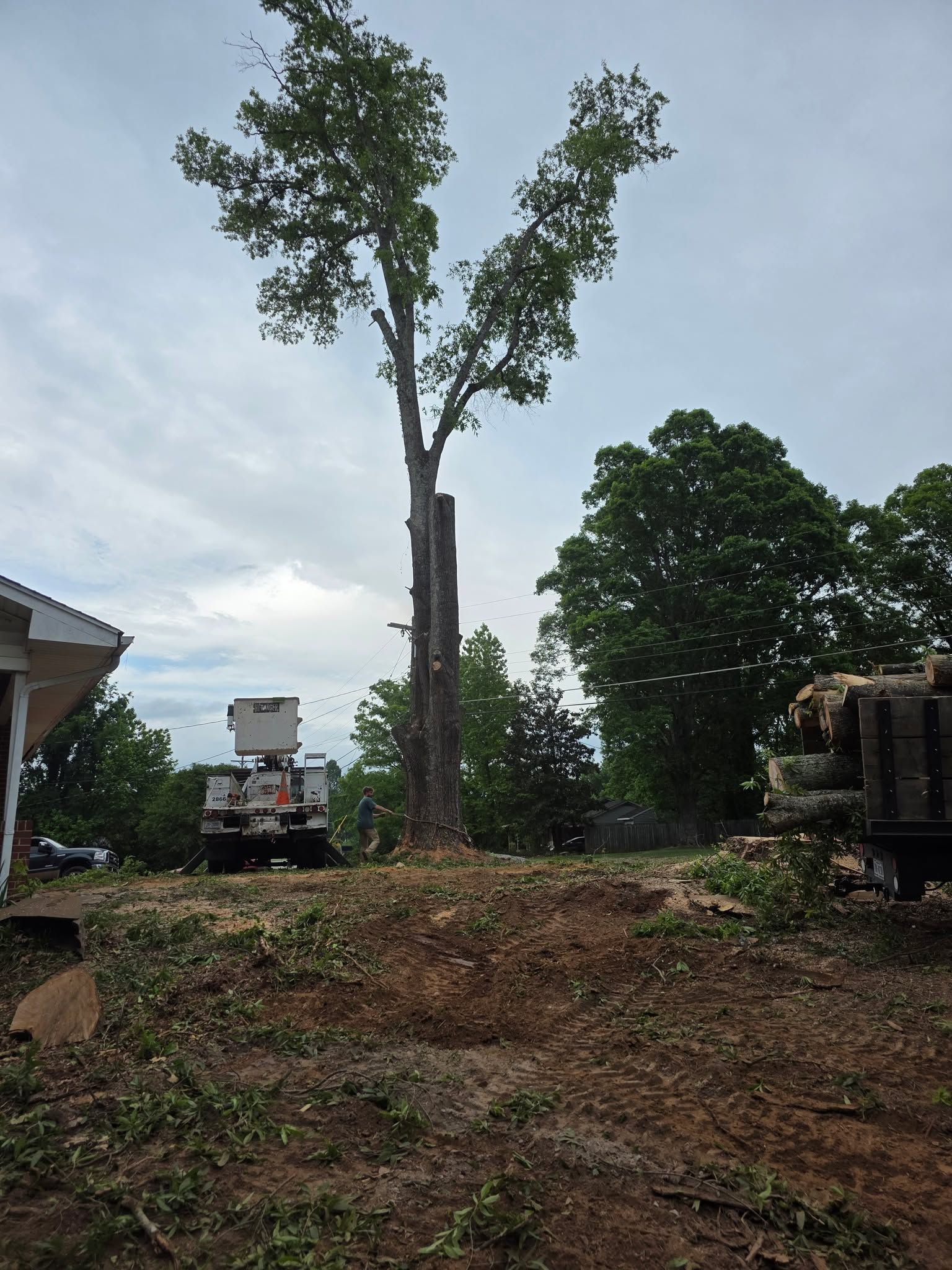 733935666 122177746304859376 3042241589202605788 n